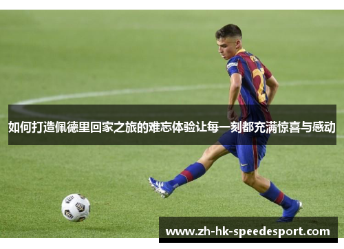 如何打造佩德里回家之旅的难忘体验让每一刻都充满惊喜与感动