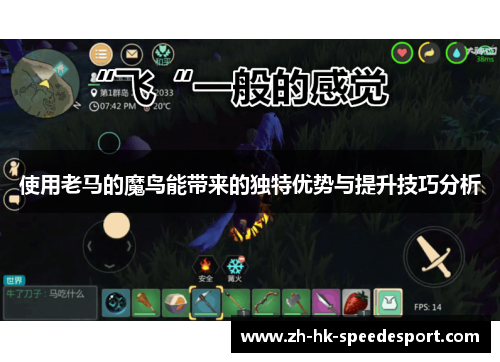 使用老马的魔鸟能带来的独特优势与提升技巧分析